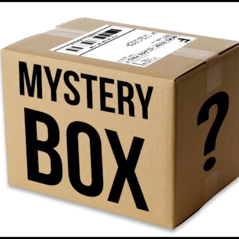 MYSTERY BOX : of all designer purses